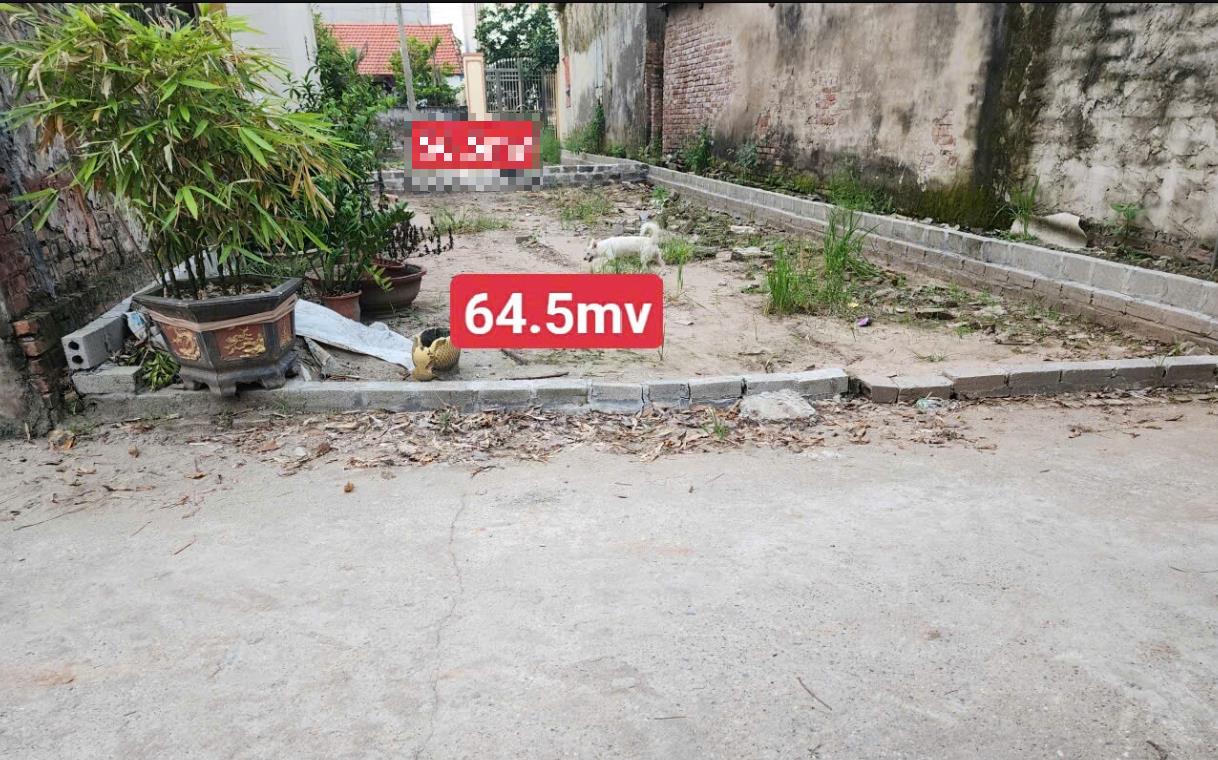 Hình ảnh Bán Lô Đất 64.5m Tại Đồng Thanh Kim Động Bám Đường Bê Tông Ô Tô Vào Tận Đất Dân Cư Đông Đúc Thân Thiện Giá Đầu Tư