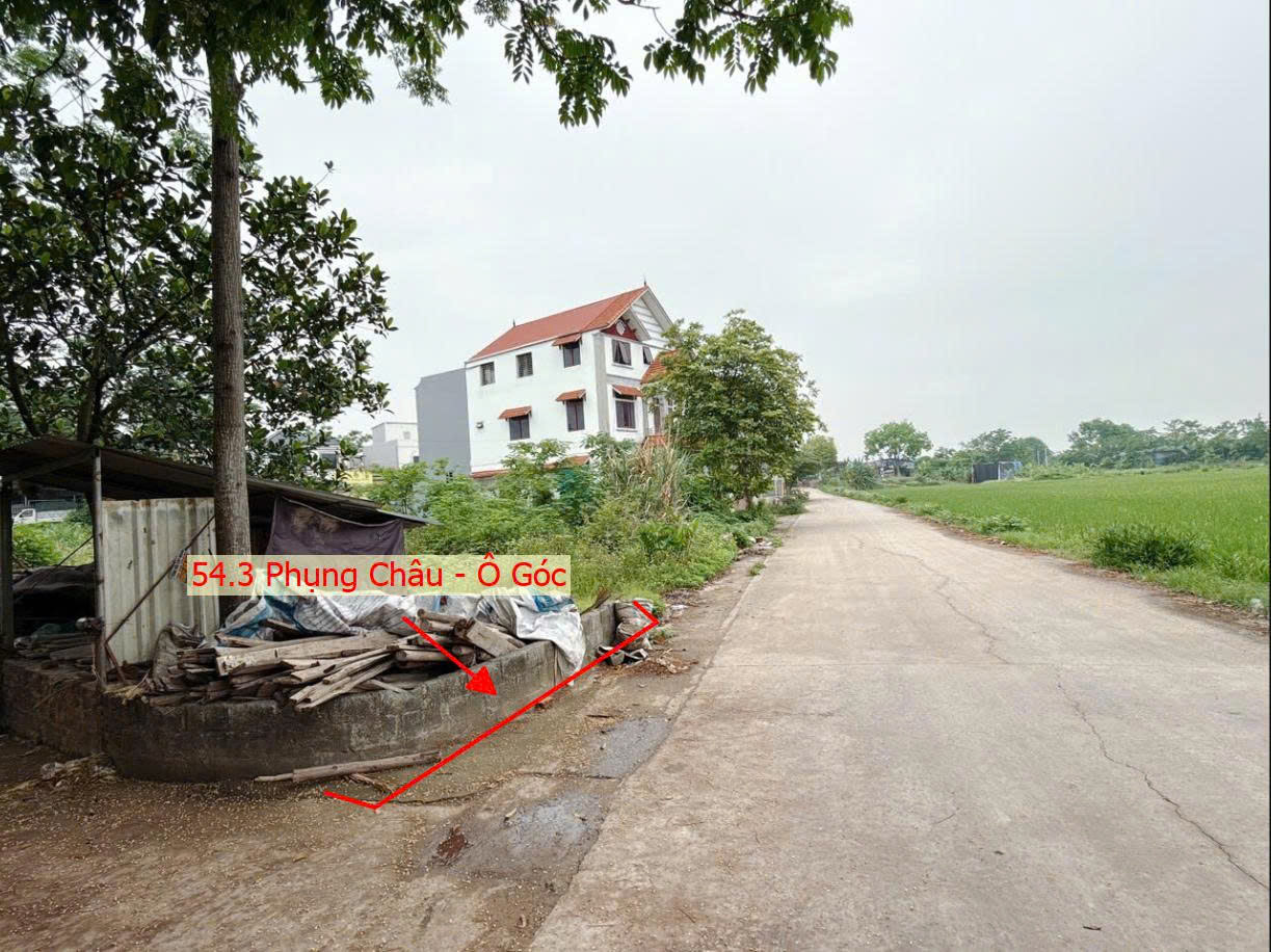 Hình ảnh Bán Lô Góc 2 Mặt Tiền 54.3m Tại Phụng Châu Chương Mỹ Đường Ô Tô Tránh Sát Trục Liên Huyện 