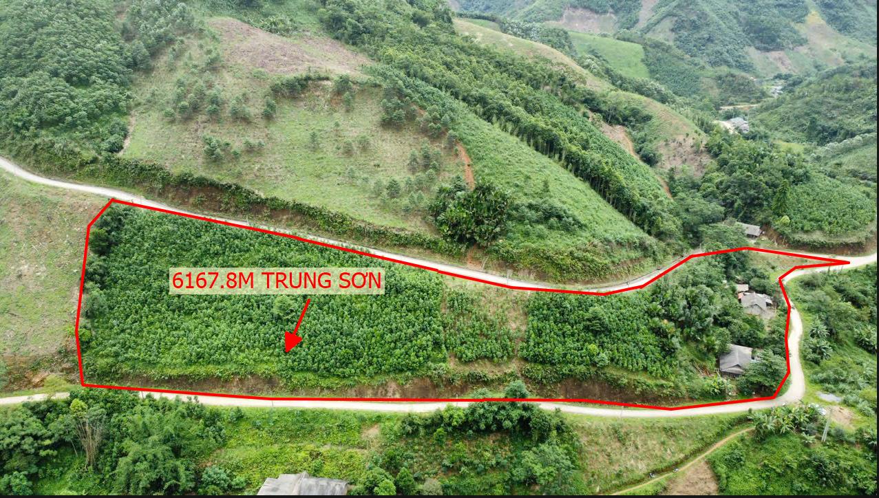 Hình ảnh Bán Lô Đất 6167.8m Đất Rừng Sản Xuất Tại Trung Sơn Yên Lập Bám Đường Bê Tông Ô Tô Vào Tận Đất