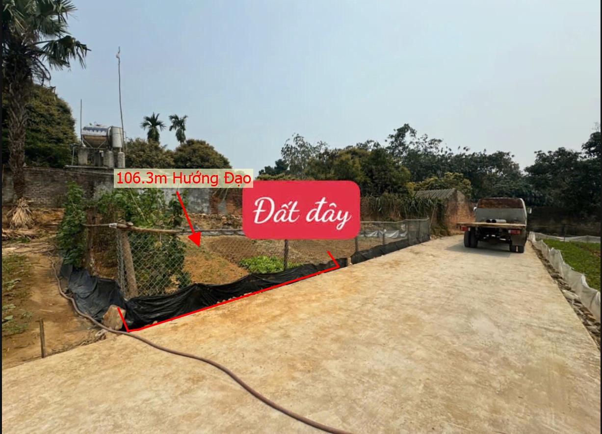 Hình ảnh Bán Lô Đất 106.3m Tại Hướng Đạo Tam Dương Bám Đường Bê Tông Ô Tô Vào Tận Đất Dân Cư Đông Đúc Thân Thiện Giá Đầu Tư