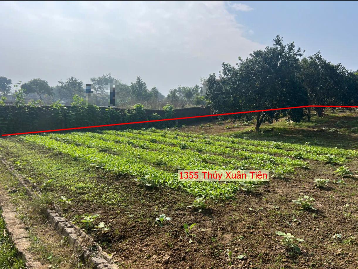 Hình ảnh Bán Thửa Đất 1355m Tại Thủy Xuân Tiên Ô Tô Đỗ Tận Đất Sát Trục Chính Kinh Doanh Liên Xã 