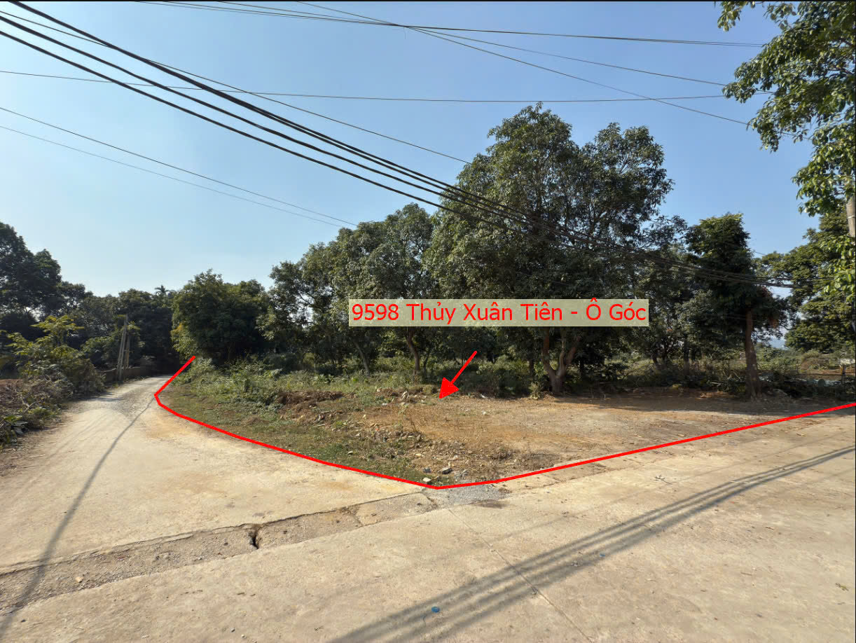 Hình ảnh Bán Lô Góc 3 Mặt Thoáng Sát Trục Chính Liên Xã Gần QL21A Tại Thủy Xuân Tiên Chương Mỹ 