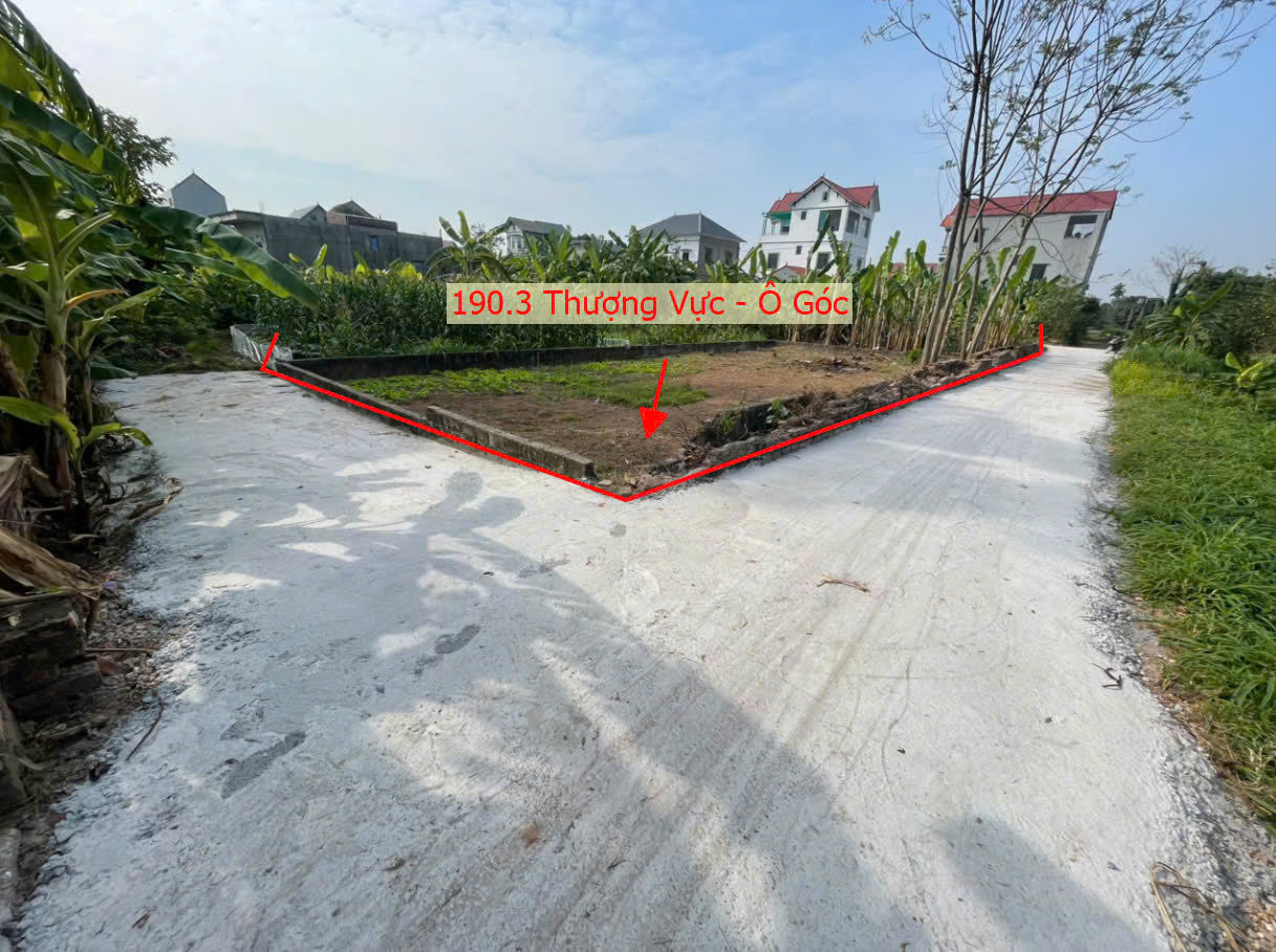 Hình ảnh Bán Đất Thượng Vực Full Thổ Cư Sát Mặt Đường Kinh Doanh Liên Xã Ngay Trung Tâm Xã Thượng Vực 