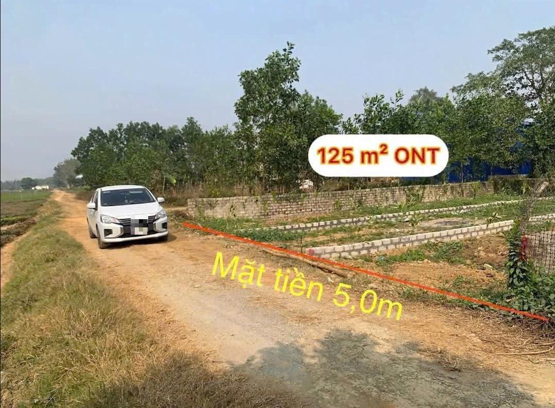 Hình ảnh Bán Lô Đất 125m Tại Phú Thành Lạc Thủy Bám Đường Bê Tông Ô Tô Vào Tận Đất Dân Cư Đông Đúc Giá Đầu Tư