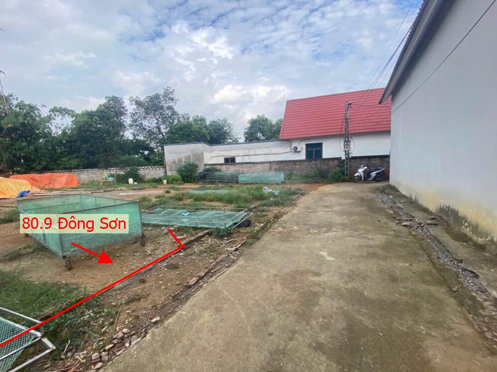 Hình ảnh Bất Động Sản Phú Nghĩa Bán Đất Phân Lô Đông Sơn Ô Tô Đỗ Tận Đất Sát Trục Kinh Doanh Ngay Gần QL6A Đang Triển Khai Mở Rộng