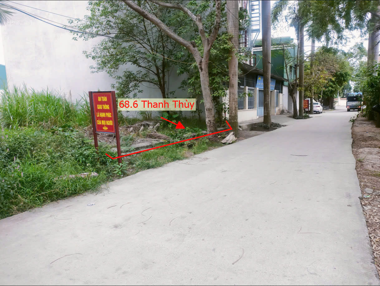 Hình ảnh Bán Đất Đấu Giá Thanh Thùy Sát TL427B Ngay Trung Tâm Xã Thanh Thùy Thanh Oai 