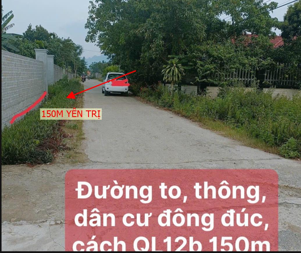 Hình ảnh Bán Lô Đất 150m Tại Yên Trị Ô Tô Vào Tận Đất Cách Đường QL 300m Giá Vài Trăm