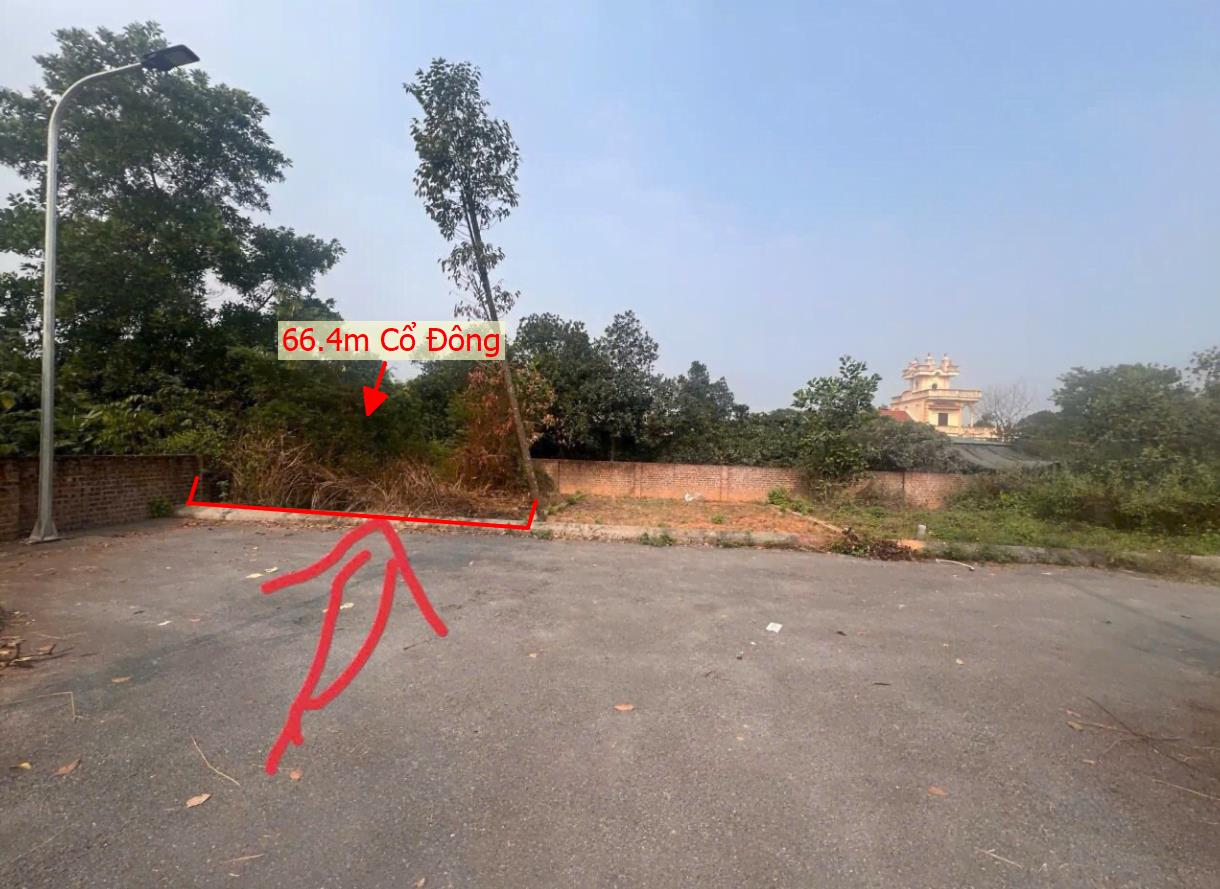 Hình ảnh Bán Lo Đất 66.4m Tại Cổ Đông SƠn Tây Bám Đường Bê Tông Ô Tô Vào Tận Đất Dân Cư Đông Đúc Thân Thiện Gần Chợ Trường Học Ủy Ban Giá Đầu Tư