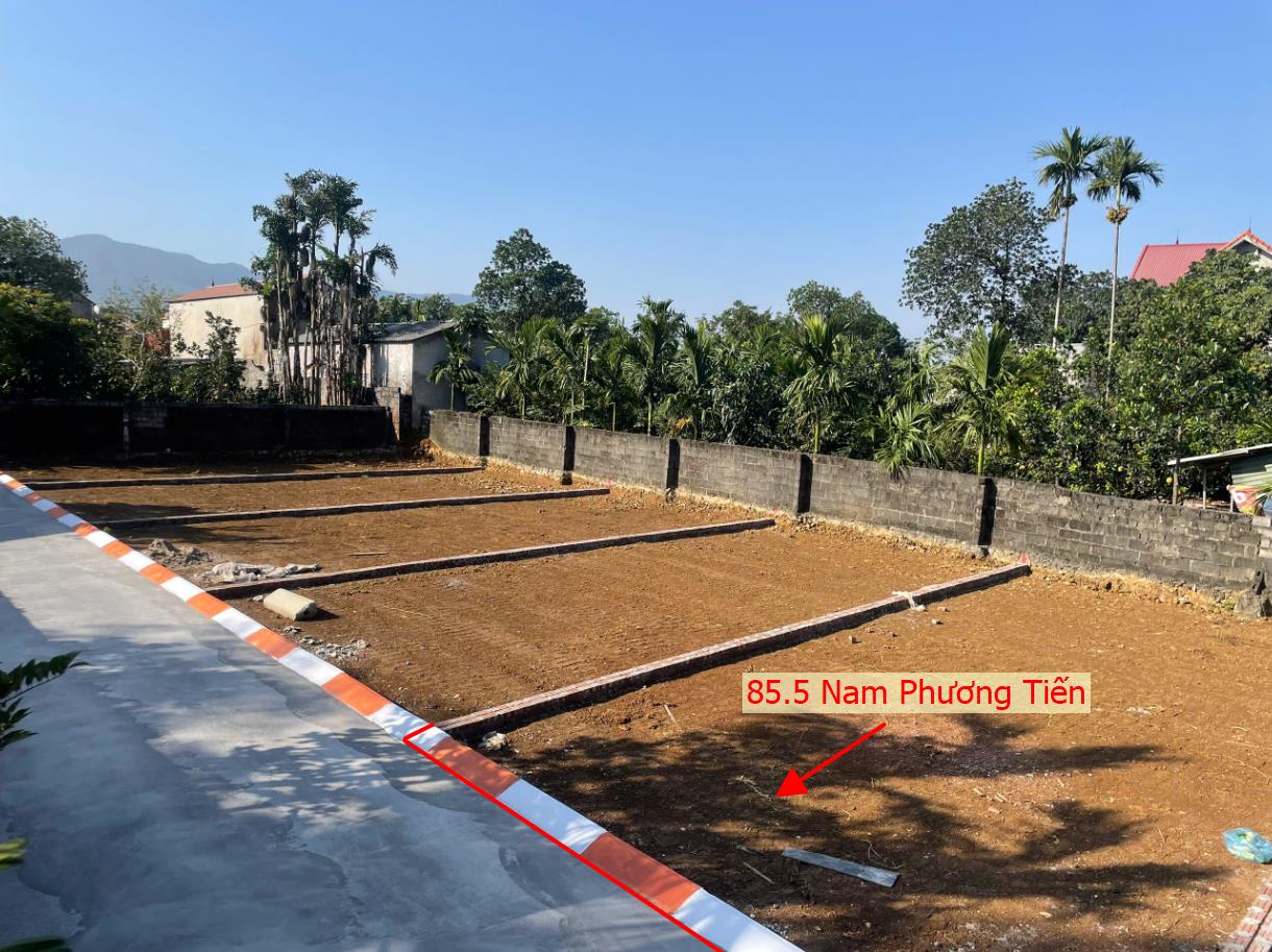 Hình ảnh Đất Phân Lô Nam Phương Tiến Ô Tô Vào Tận Đất Sát Trục Kinh Doanh Ngay Gần Mặt Đường QL21A