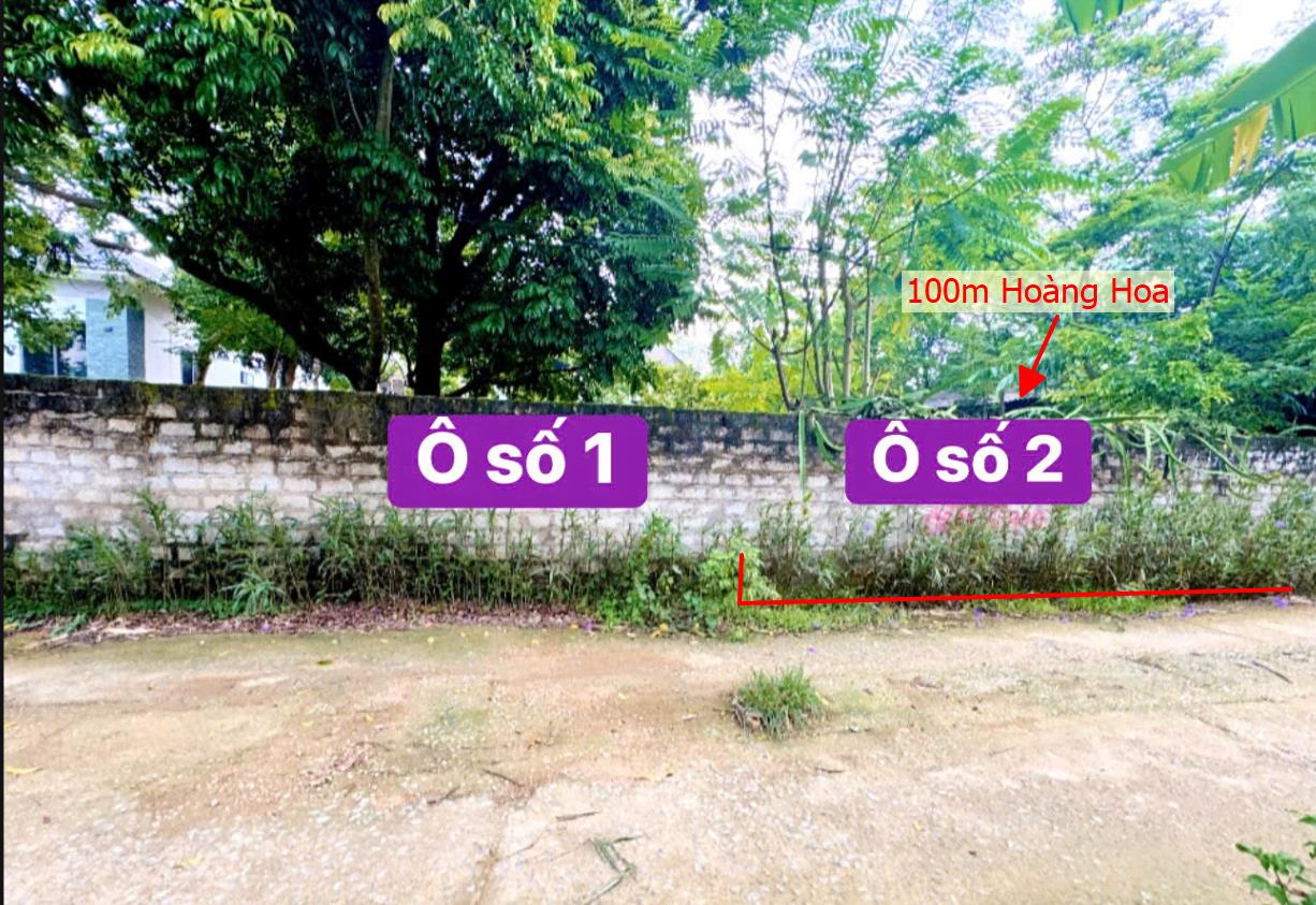 Hình ảnh Bán Lô Đất 100m tại Hoàng Hoa Tam Dương Bám Đường Bê Tông Ô Tô Vào Tận Đất Dân Cư Đông Đúc Thân Thiện View Cánh Đồng Thoáng Mát Giá Đầu Tư Hoàng Hoa, Tam Dương