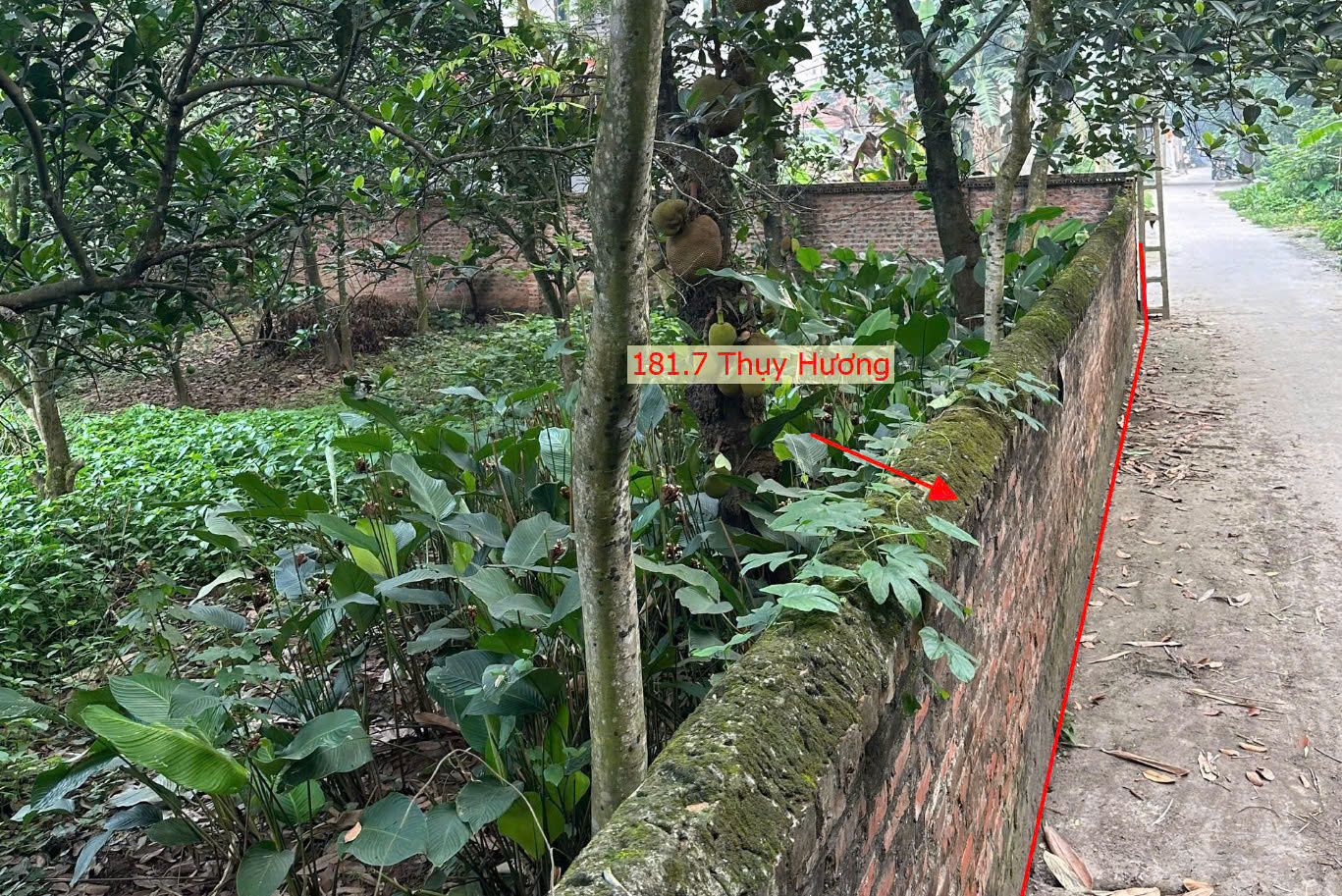 Hình ảnh Bán Thửa Đất 181.7m Tại Thụy Hương Chương Mỹ Ô Tô Đỗ Tận Đất Gần Trục Kinh Doanh Giá Chỉ Hơn 2 Tỷ
