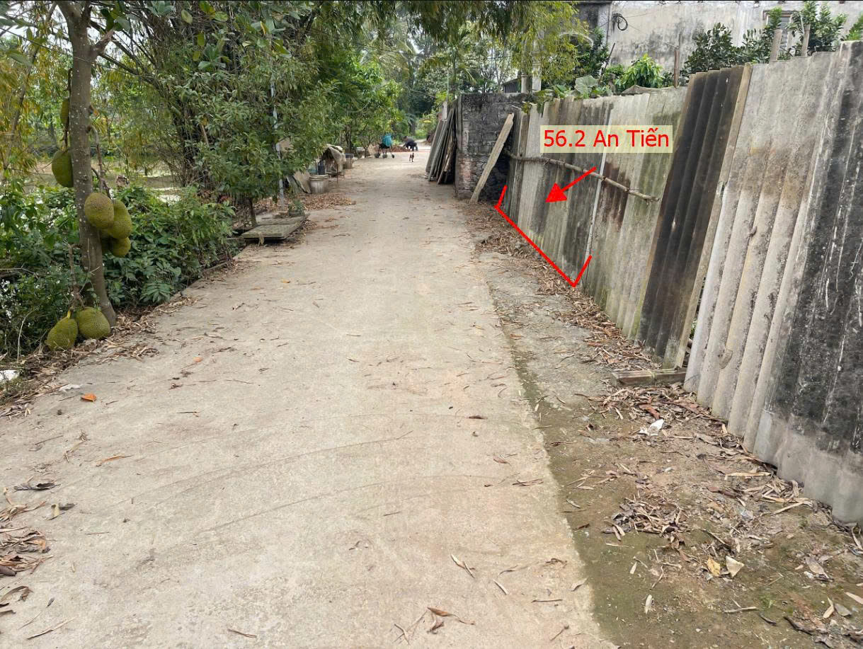 Hình ảnh Bán Thửa Đất 56.2m Tại An Tiến Mỹ Đức Ô Tô Đỗ Tận Đất Sát Trục Kinh Doanh - Đất Phân Lô An Tiến 