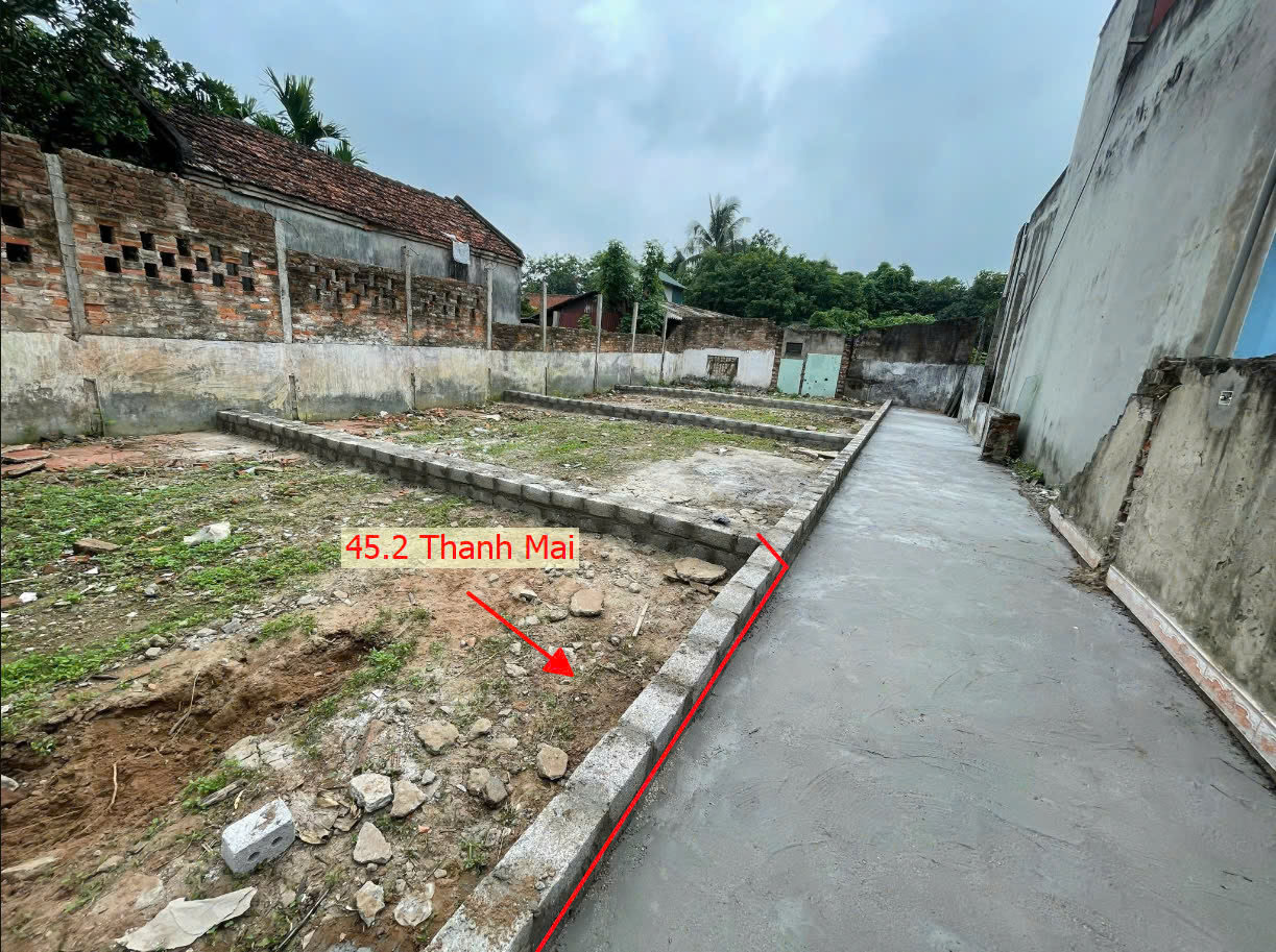 Hình ảnh Bán Đất Thanh Mai Sát Trục Kinh Doanh Gần Trung Tâm Xã | Đất Phân Lô Thanh Mai Thanh Oai