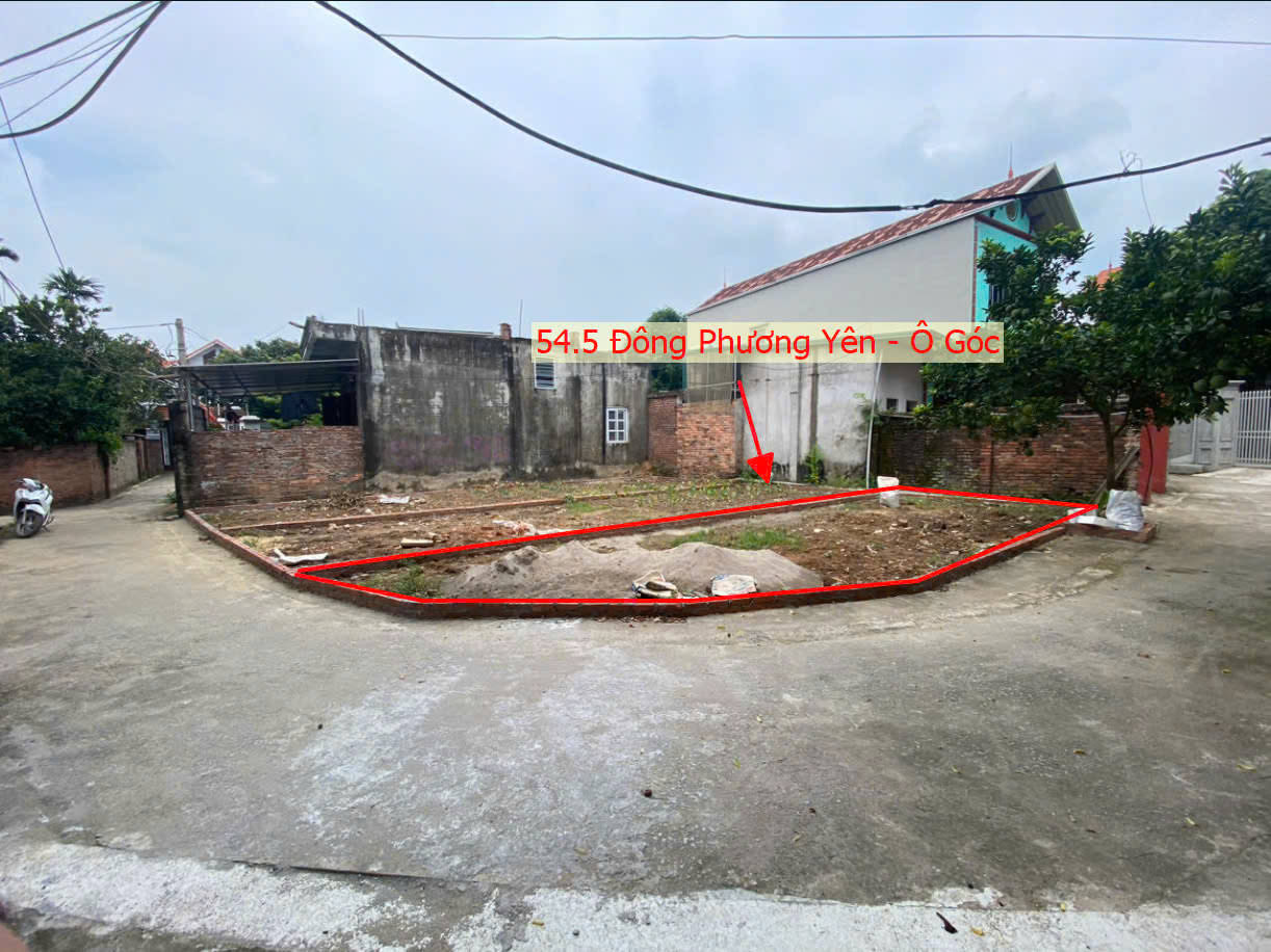 Hình ảnh Bán Lô Góc 2 Mặt Tiền Ô Tô Vào Tận Đất Ngay Trung Tâm Xã Đông Phương Yên 