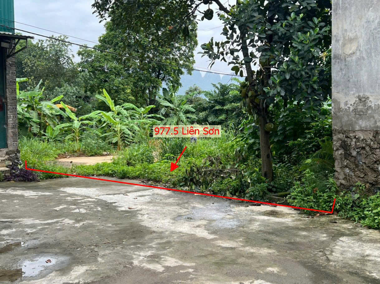 Hình ảnh Bán Thửa Đất 977.5m Tại Liên Sơn Lương Sơn Sát Mặt Đường Kinh Doanh QL21A Giá Chỉ Vài Tỷ 