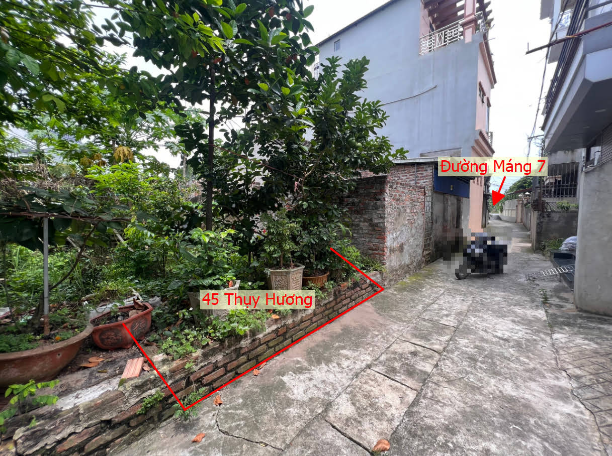Hình ảnh Bất Động Sản Chương Mỹ Bán Đất Khu Vực Thụy Hương Sát Mặt Đường Kinh Doanh Liên Xã Cách Trường CMA Chỉ Vài Trăm Mét