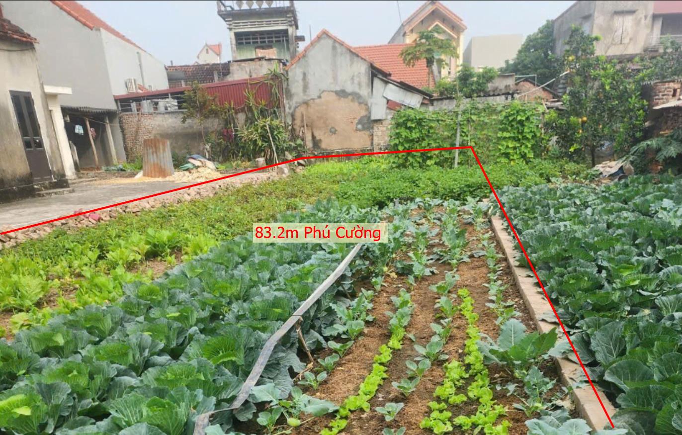 Hình ảnh Bán Lô Đấtt 83.2m Phú Cường  Bám Đường Bê Tông Ô Tô Vào Tận Đất Dân Cư Đông Đúc  Nhiều Tiện Ích Xung Quanh Giá Đầu Tư