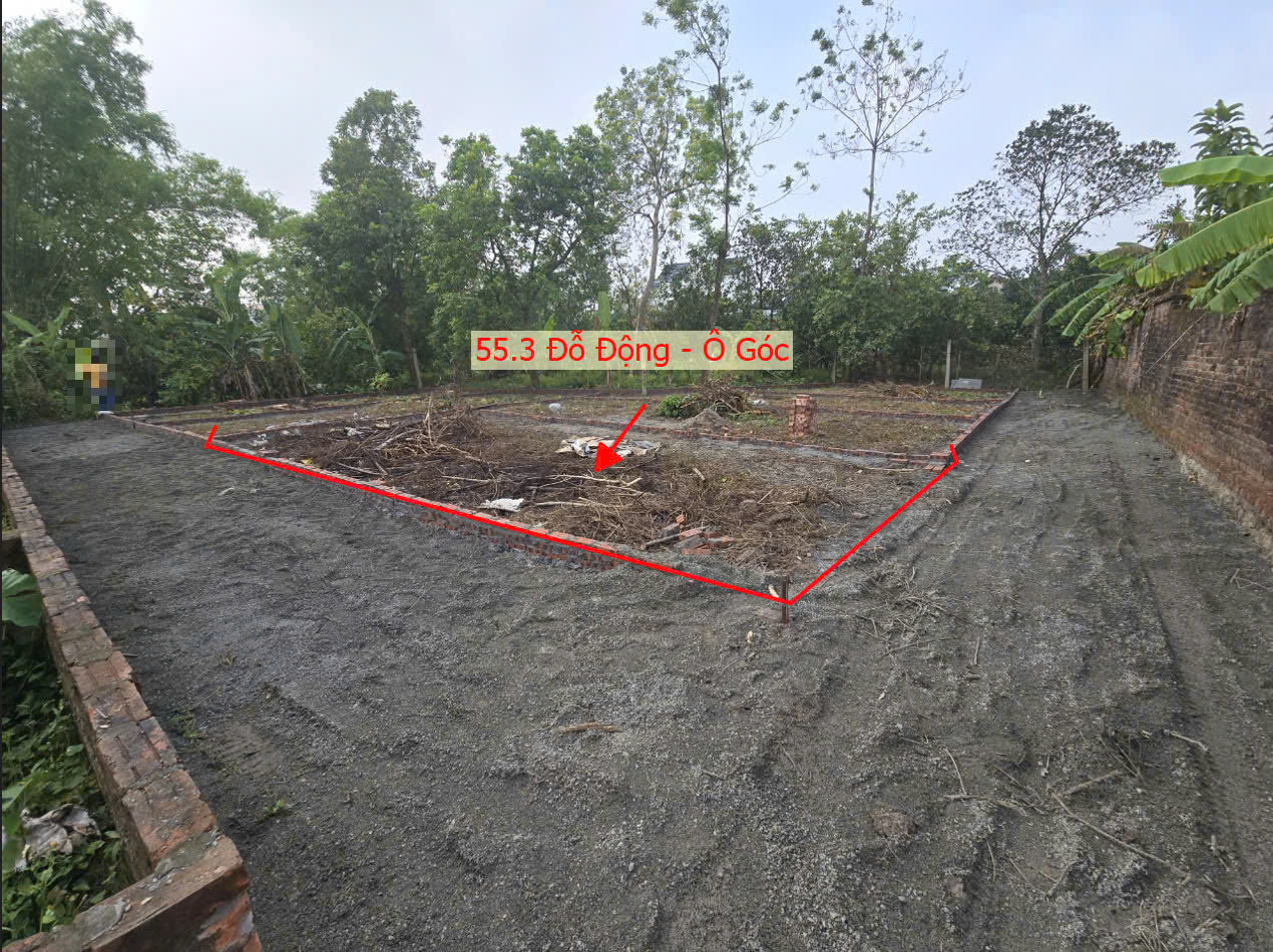 Hình ảnh Bán Lô Góc 2 Mặt Tiền 55.3M2 Tại Đỗ Động Thanh Oai Sát Trục Chính Liên Xã Giá Chỉ Hơn 2 Tỷ 