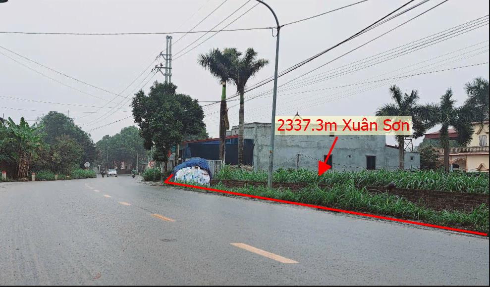 Hình ảnh Bán Lô Đất 2337.3m Tại Cổ Đông Sơn Tây Bám Đường Liên Xã Ô Tô Tránh Nhau Dân Cư Đông Đúc Thân Thiện View Cánh Đồng Thoáng Mát Giá Đầu Tư