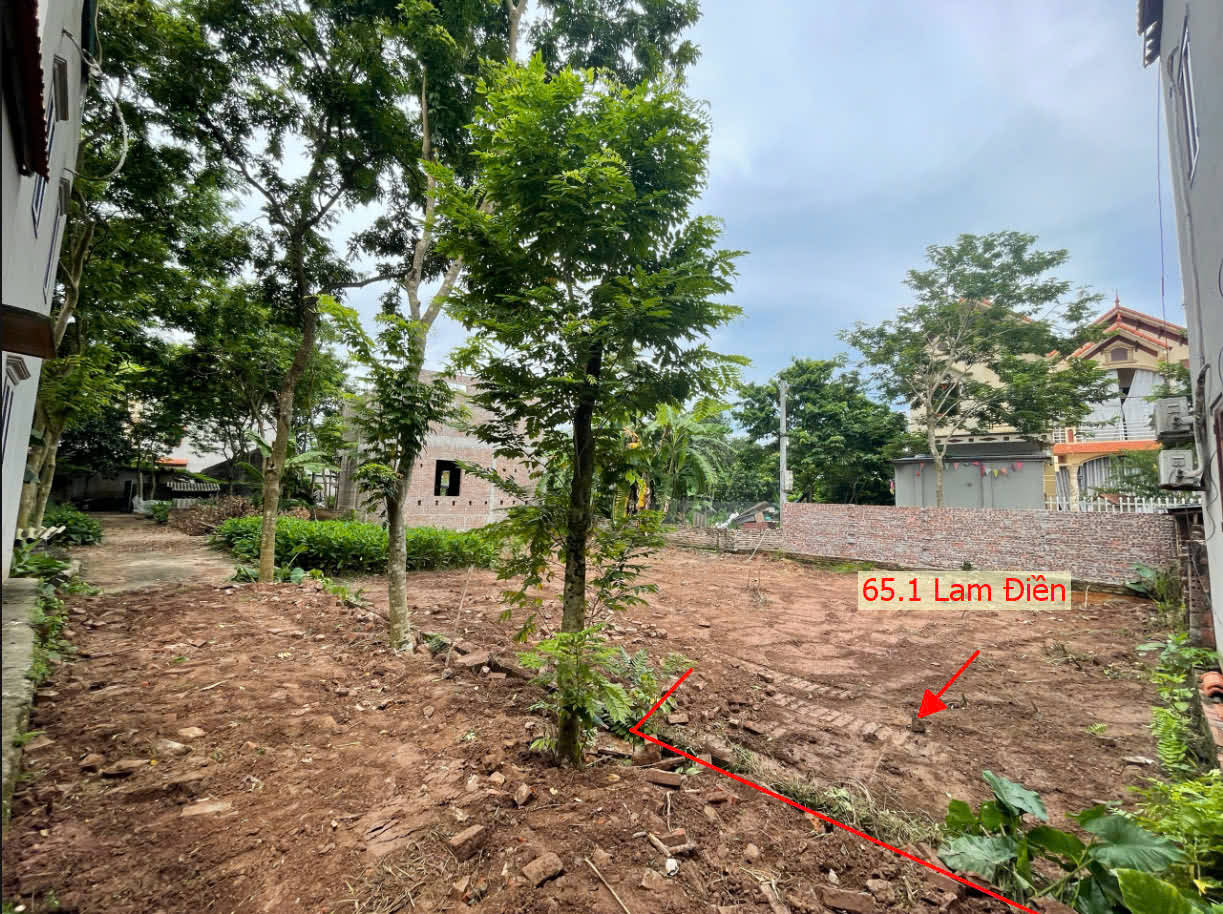 Hình ảnh Bán Đất Phân Lô Full Thổ Cư Ô Tô Vào Tận Đất Ngay Trung Tâm Xã Lam Điền 