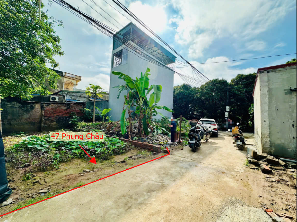 Hình ảnh Bán Thửa Đất 47m Tại Phụng Châu Ô Tô Đỗ Tận Đất Sát Trục Kinh Doanh Liên Huyện 