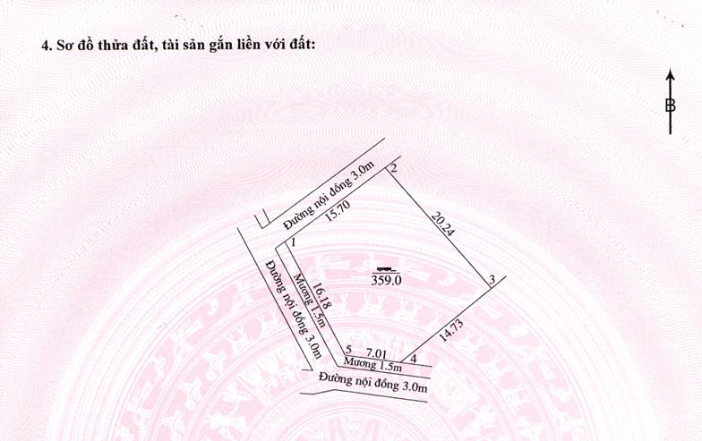 Hình ảnh Bán Lô Góc 2 Mặt Thoáng Ô Tô Đỗ Tận Đất 359m Tại Hoàng Diệu Gần Trục Chính Kinh Doanh Liên Xã