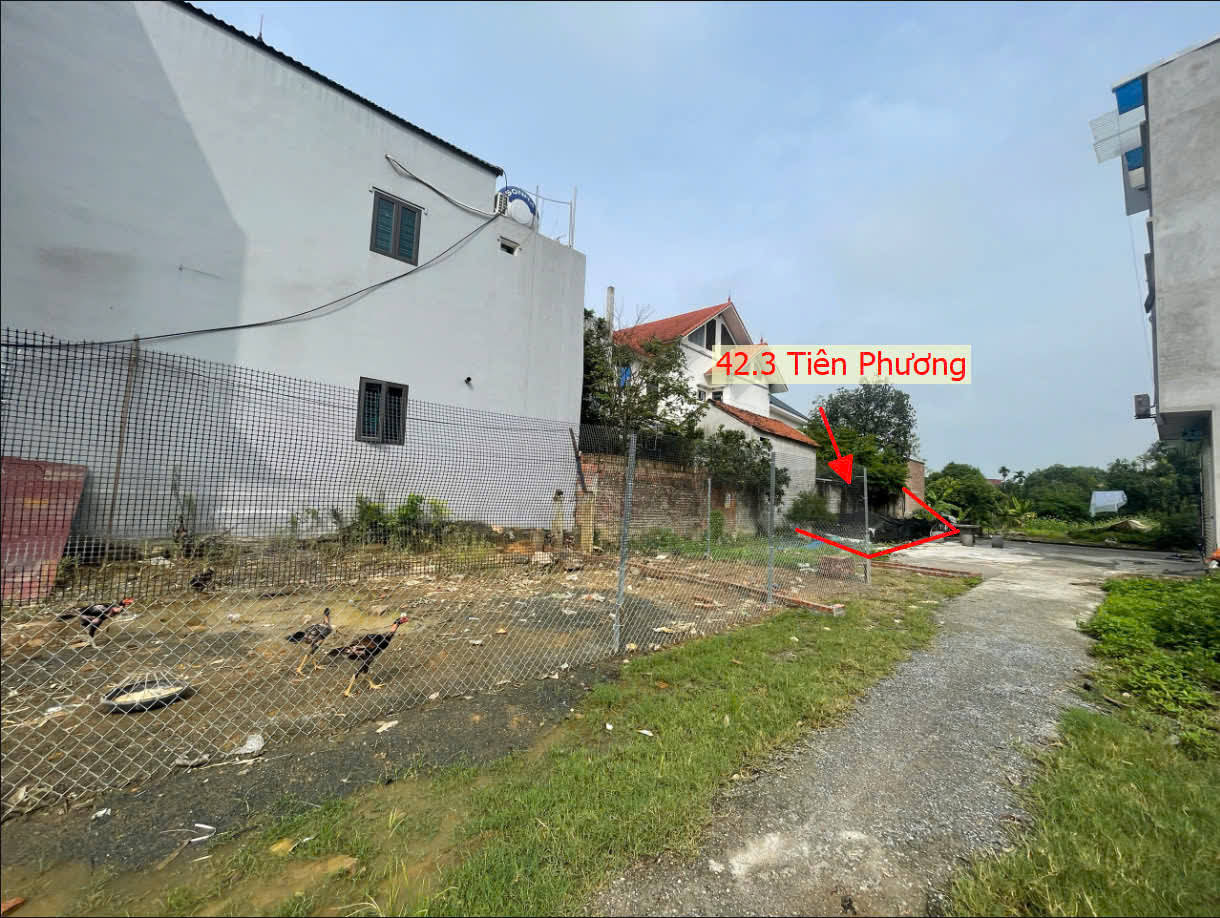 Hình ảnh Bán Đất Tiên Phương Ô Tô Vào Tận Đất Gần QL6A Đang Mở Rộng Giá Nhỉnh Tỷ 