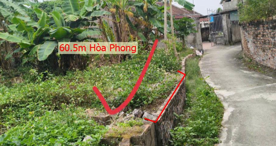 Hình ảnh Bán Lô Đất 60.5m Tại Hòa Phong Mỹ Hào Bám Đường Bê Tông Ô Tô Vào Tận Đất Dân Cư Đông Đúc Đầy Đủ Tiện Ích Giá Đầu Tư