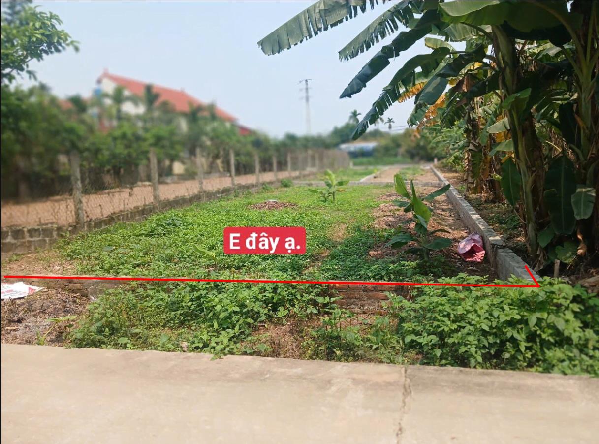 Hình ảnh Bán Lô Đất 110.2m Tại Khoái Châu Bám Đường Bê Tông Ô Tô Vào Tận Đất Dân Cư Đông Đúc Thân Thiện Gần Chợ Trường Học Ủy Ban Giá Đầu Tư