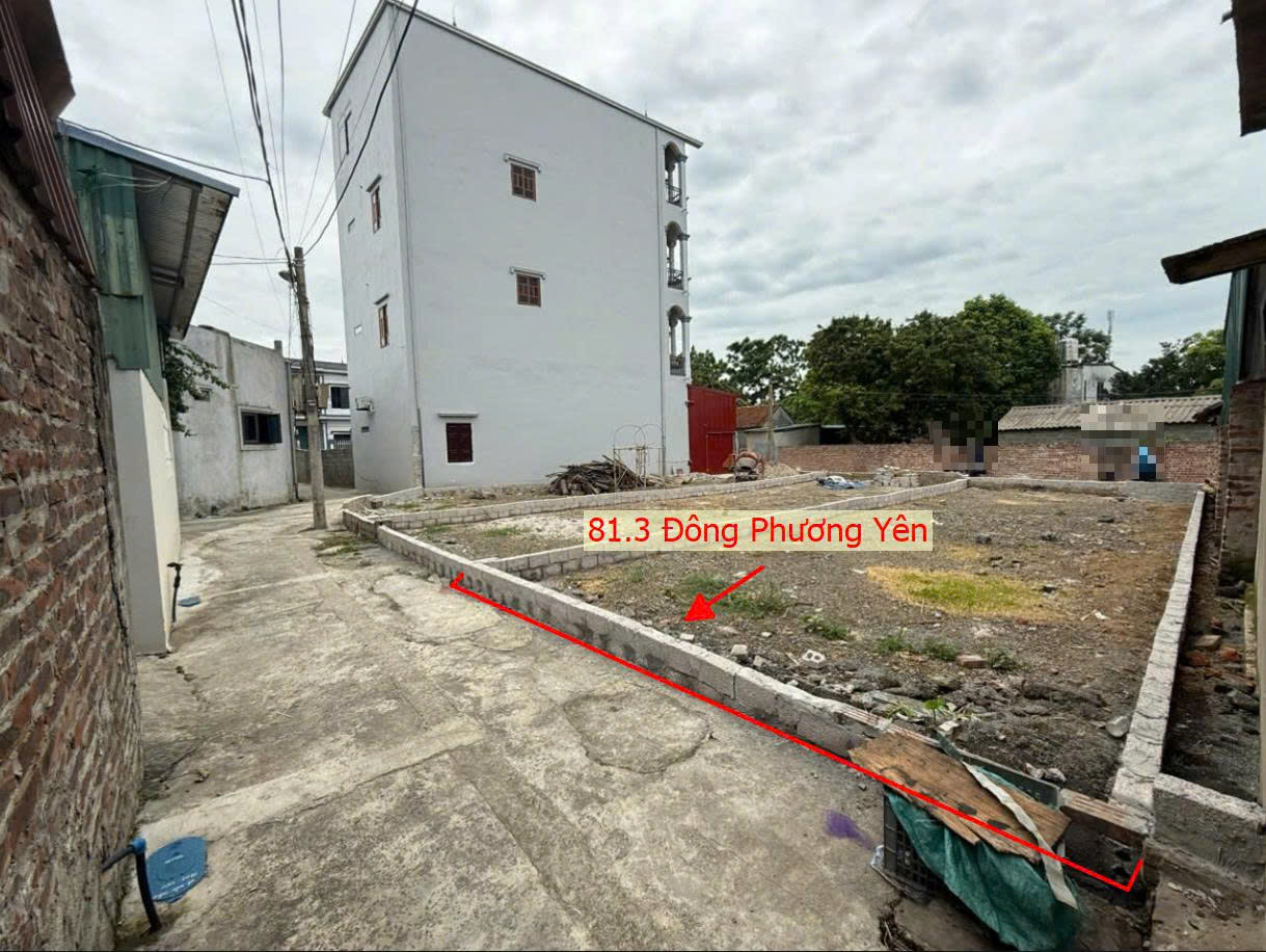 Hình ảnh Bán Thửa Đất 81.3m Tại Đông Phương Yên Sát Trục Kinh Doanh Liên Xã Ngay Gần Trường Học Các Cấp