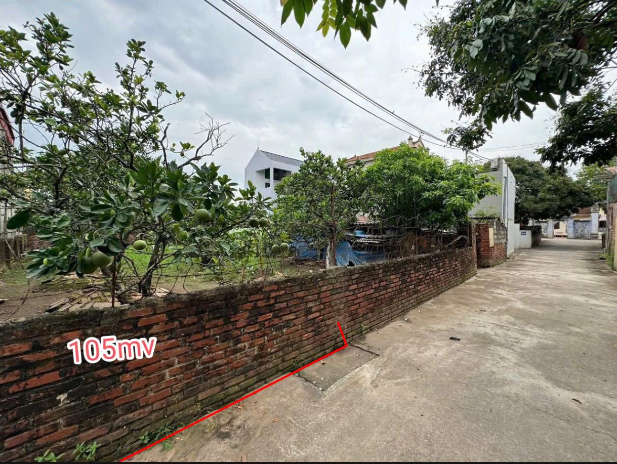 Hình ảnh Bán Lô Đất 105.1m Tại Đông Tảo Khoái Châu Bám Đường Bê Tông Ô Tô Vào Tận Đất Dân Cư Đông Đúc Gần Trục Chính Kinh Doanh Giá Đầu Tư