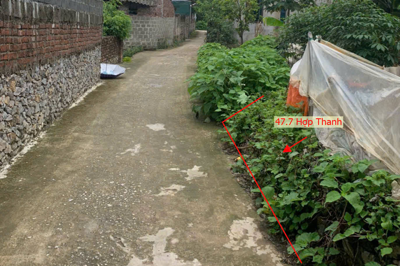 Hình ảnh Bán Đất Hợp Thanh Ô Tô Vào Tận Đất Sát Trục Chính Kinh Doanh Ngay Trung Tâm Xã Hợp Thanh 