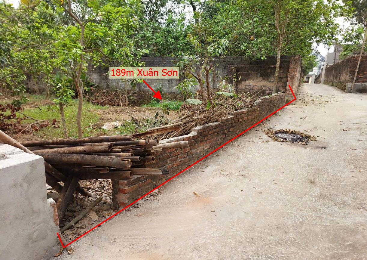 Hình ảnh Bán Lô Đất 189m Tại Xuân Sơn Sơn Tây Bám Đường Bê Tông Ô Tô Vào Tận Đất Dân Cư Đông Đúc Thân Thiện Giá Đầu Tư