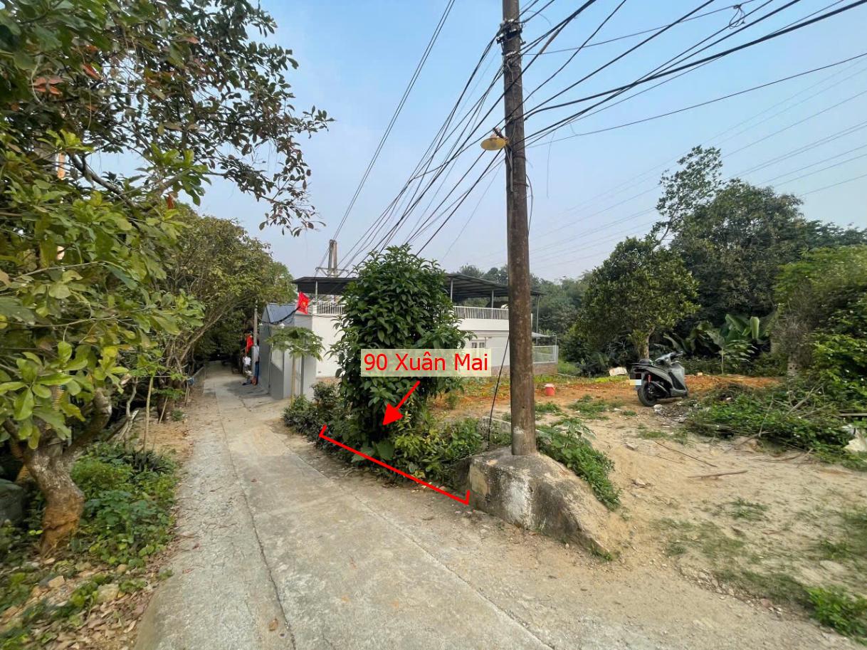 Hình ảnh Bất Động Sản Xuân Mai Bán Đất Khu Vực Xã Xuân Mai Ô Tô Vào Tận Đất Ngay Gần Trường Học Các Cấp