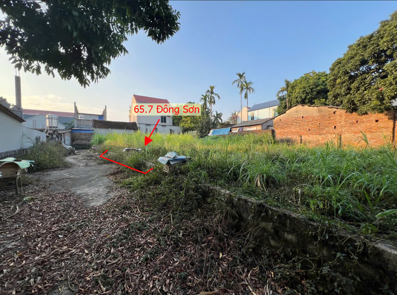 Hình ảnh Vài Trăm Triệu Sở Hữu Lô Đất Gần QL6A Đang Triển Khai Mở Rộng Tại Đông Sơn Chương Mỹ 