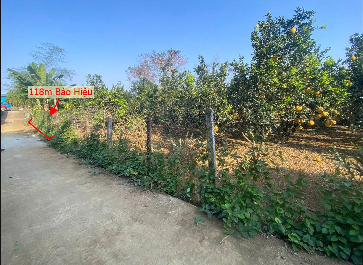 Hình ảnh Bán Đất Phân Lô Tại Bảo Hiệu Yên Thủy Bám Đường Bê Tông Ô Tô Vào Tận Đất Dân Cư Đông Đúc Thân Thiện Giá Đầu Tư