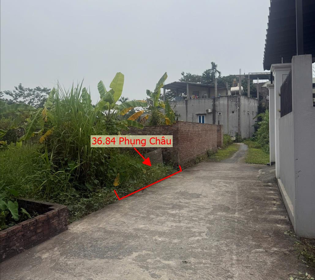 Hình ảnh Bán Thửa Đất 36.84m Tại Phụng Châu Sát Trục Chính Kinh Doanh Gần Khu Du Lịch Chùa Trầm