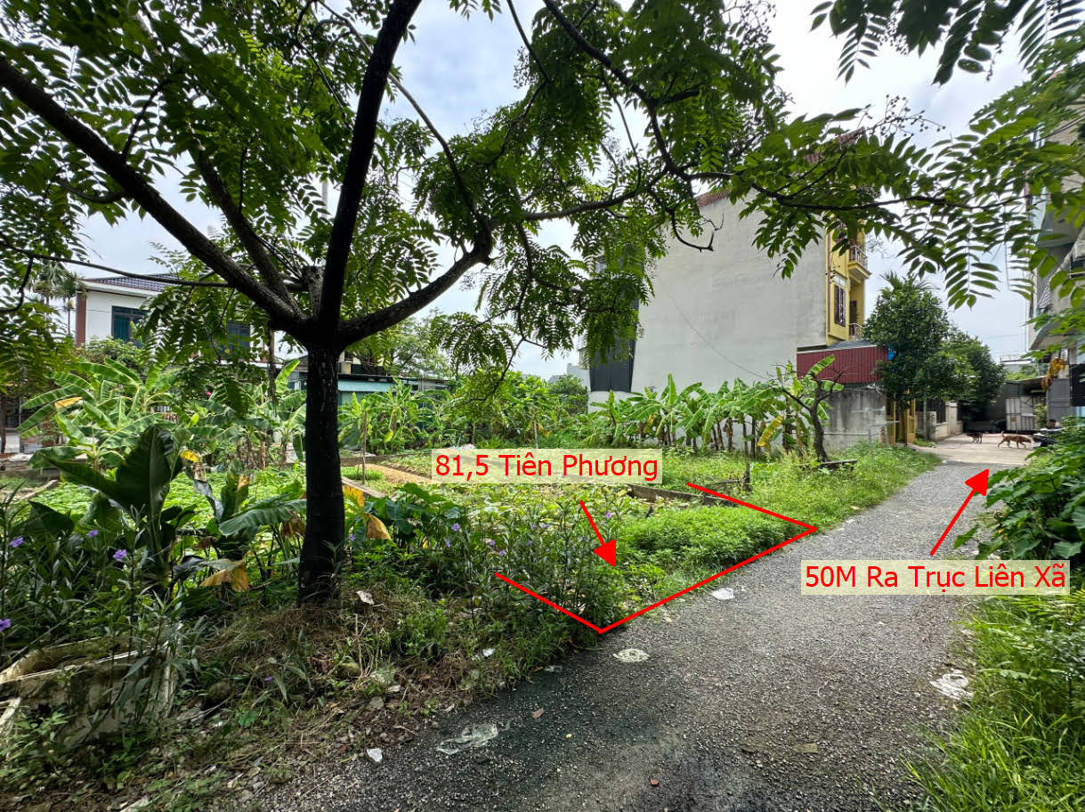 Hình ảnh Bán Đất Tiên Phương Ô Tô Vào Tận Đất Sát Trục Chính Liên Xã Ngay Trung Tâm Xã Tiên Phương