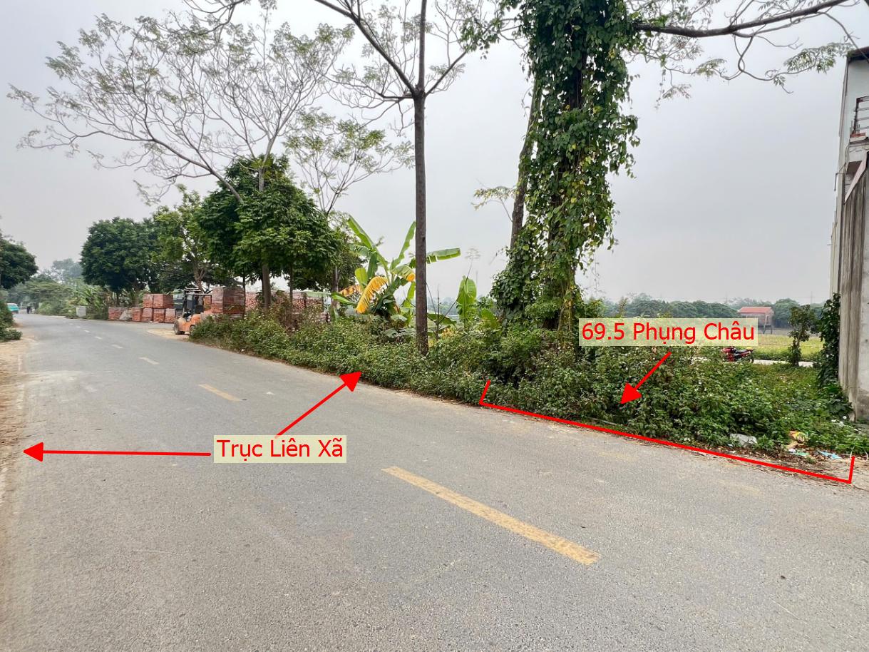 Hình ảnh Bán Đất Full Thổ Cư 69.5m Tại Phụng Châu Mặt Đường Kinh Doanh Liên Xã Giá Chỉ Vài Tỷ