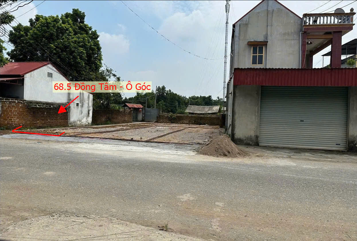 Hình ảnh Bán Lô Góc 2 Mặt Tiền Trục Chính Kinh Doanh Gần TL429 Ngay Trung Tâm Xã Đồng Tâm Mỹ Đức 