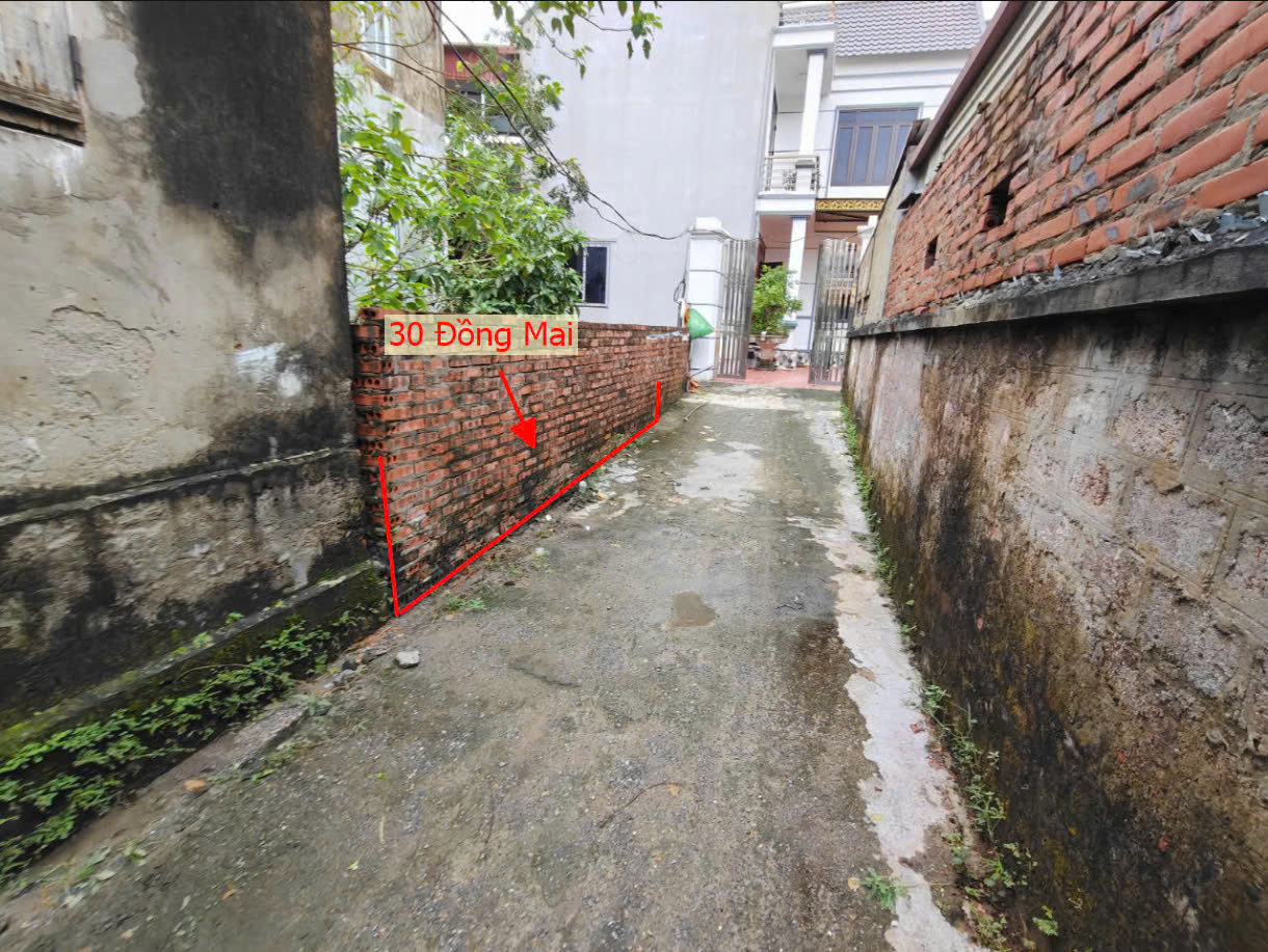 Hình ảnh Bán Đất Đồng Mai Sát Trục Kinh Doanh Gần Khu Đất Dịch Vụ Sinh Thái Phường Đồng Mai