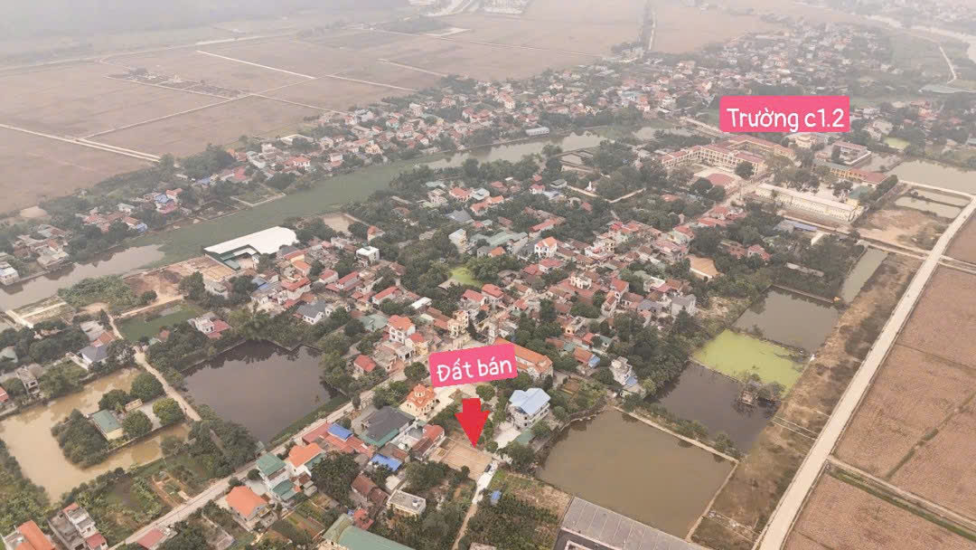 Hình ảnh Bán Đất An Tiến Sát Trục Chính Kinh Doanh Liên Xã Ngay Trung Tâm Xã An Tiến Giá Chưa Đến Tỷ