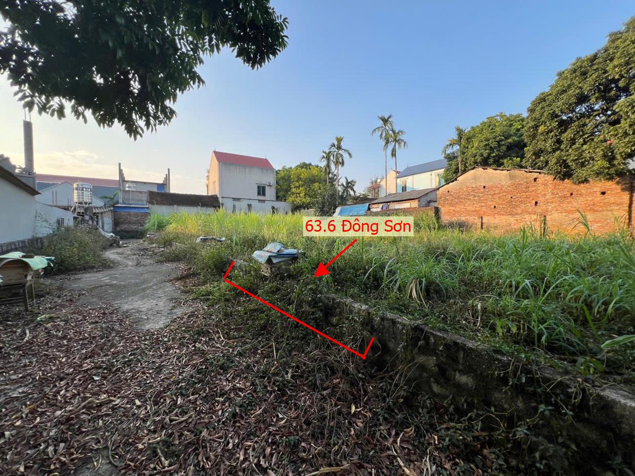 Hình ảnh Bán Đất Đông Sơn Gần Trục Chính Kinh Doanh Mà Giá Chỉ Vài Trăm Triệu 