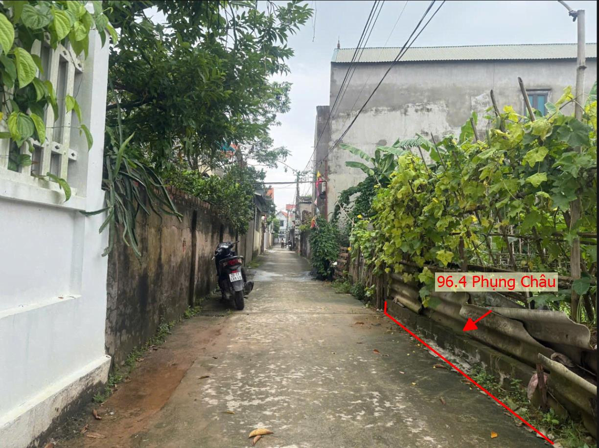 Hình ảnh Bán Đất Full Thổ Cư 96.4m Tại Phụng Châu Chương Mỹ Gần Trục Chính Liên Huyện Giá Chỉ Vài Tỷ 