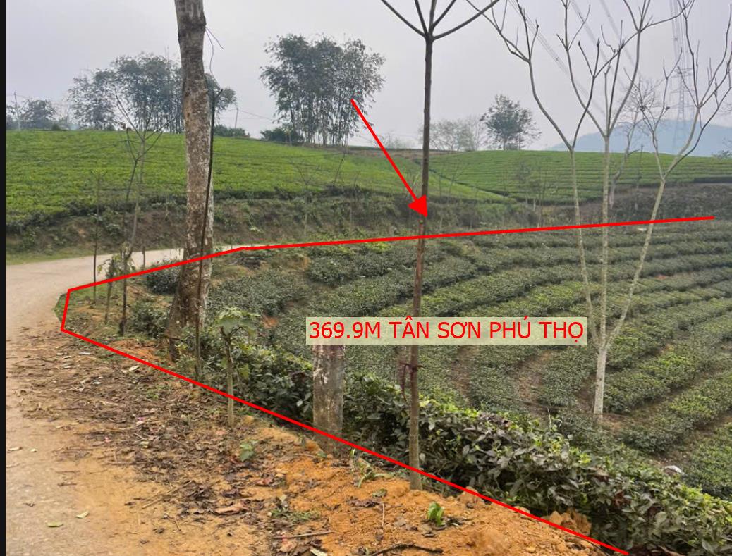 Hình ảnh Bán Lô Đất Hơn 3000m Tại Thanh Sơn Phú Thọ Bám Suối View Thoáng Mát Quanh Năm