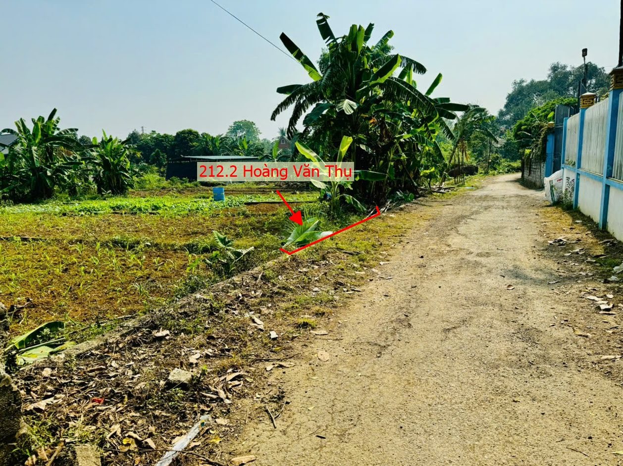 Hình ảnh Bán Thửa Đất 212.2m Tại Hoàng Văn Thụ Ô Tô Đỗ Tận Đất Sát Trục Chính Kinh Doanh Ngay Gần QL21A 