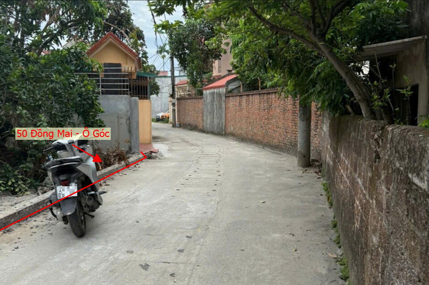 Hình ảnh Bán Đất Phân Lô Khu Vực Đồng Mai Sát Trục Chính Kinh Doanh Liên Xã Ngay Gần Khu Dịch Vụ Sinh Thái Đồng Mai
