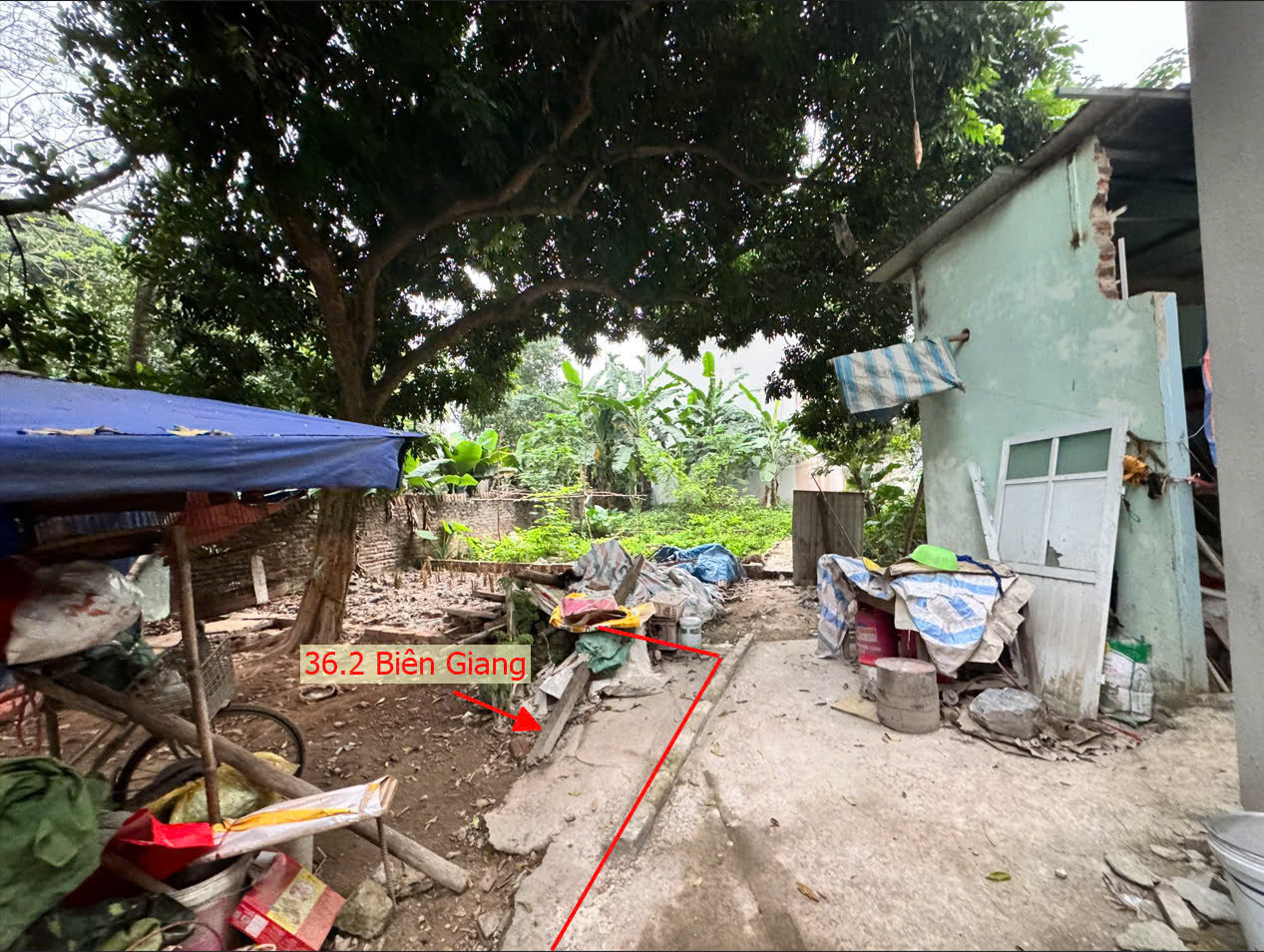 Hình ảnh Bán Đất Biên Giang Sát Trục Chính Kinh Doanh Gần QL6A Đang Triển Khai Mở Rộng Giá Chỉ Hơn Tỷ 