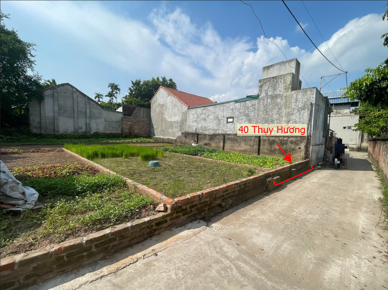 Hình ảnh Đất Phân Lô Xã Thụy Hương Ô Tô Vào Tận Đất Sát Trục Chính Kinh Doanh Giá Chỉ Hơn 2 Tỷ 