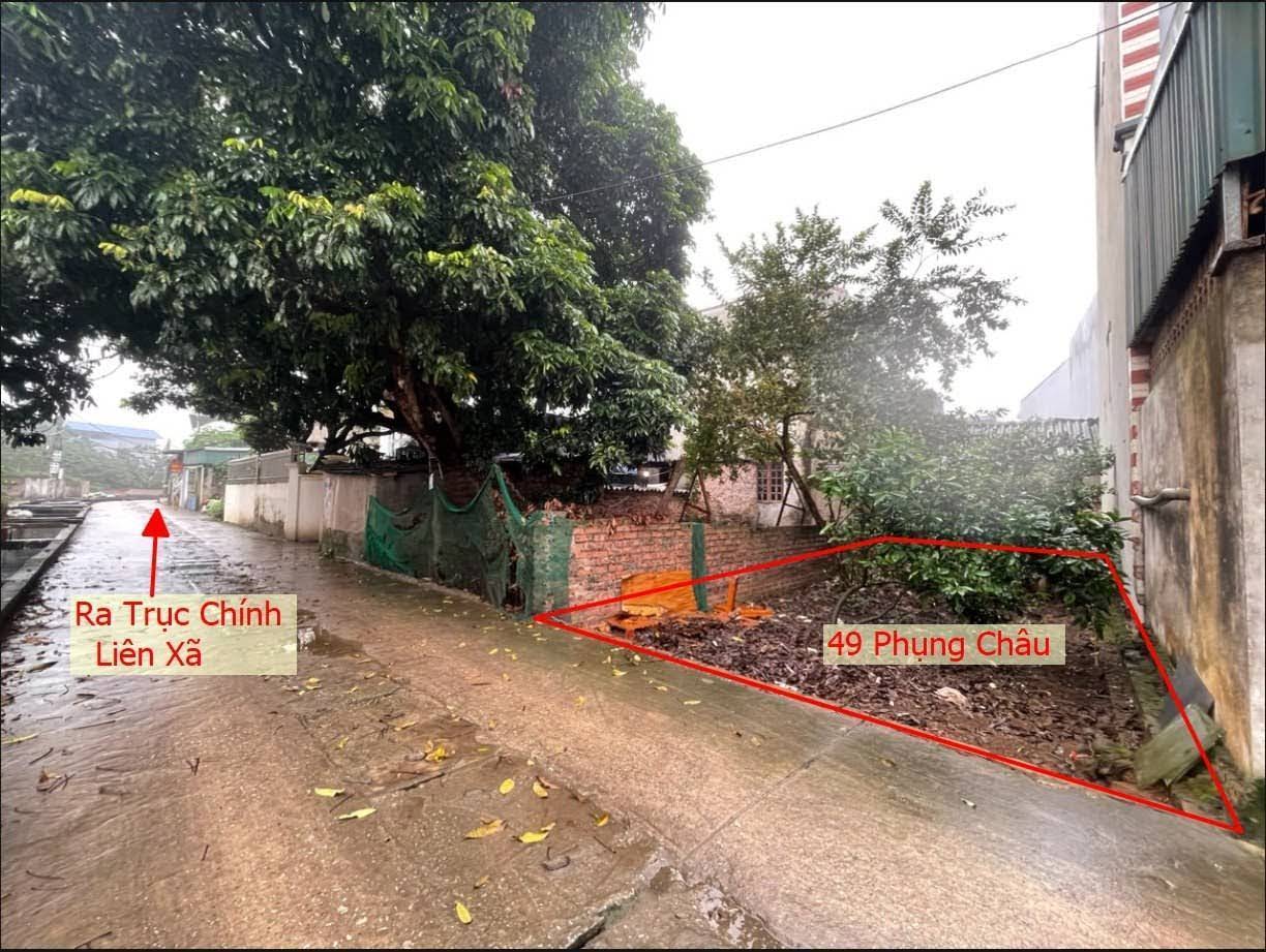 Hình ảnh Bán Đất Phụng Châu Ngay Trung Tâm Xã Phụng Cách Trục Chính Liên Huyện Vài Bước Chân 